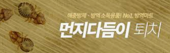 먼지다듬이 벌레/출처:구글이미지