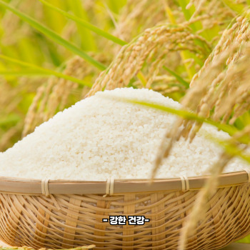 바나듐쌀 재배법