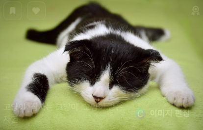 가격대별 추천 제품 관련 사진