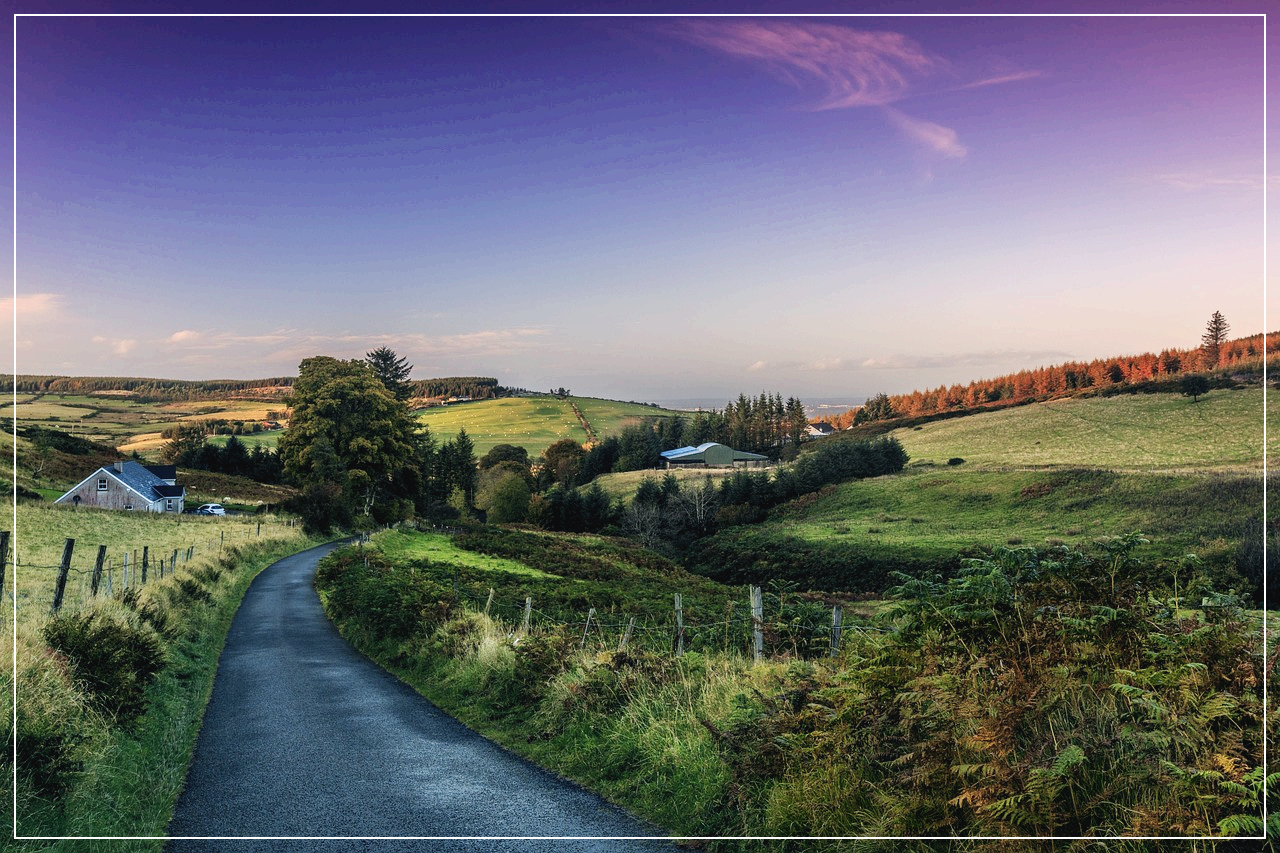 더블린의 아름다운 자연과 어울린 집들
