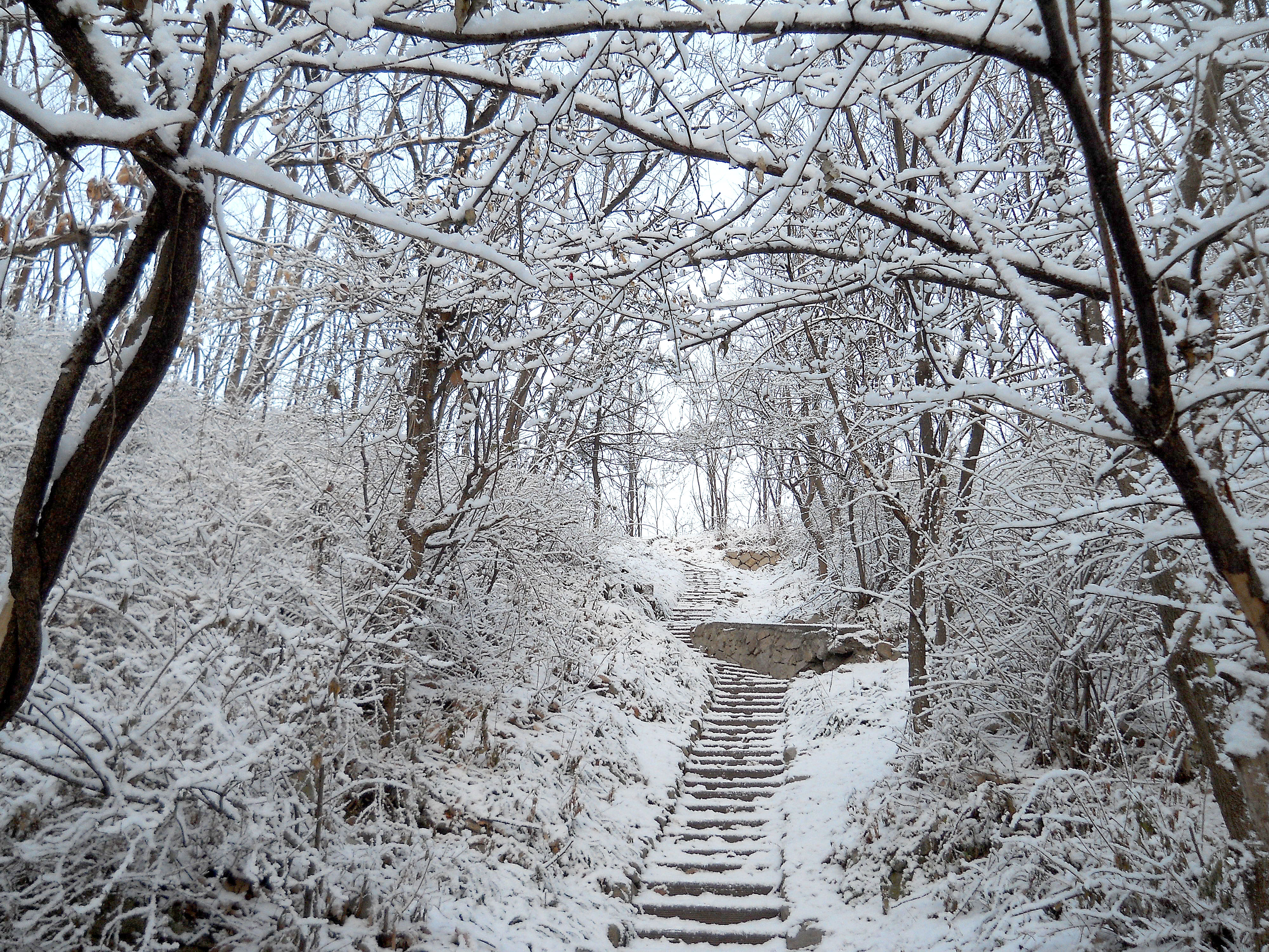 홍제동의 빛나는 아이들 홍빛나 고은산(Goeunsan Mountain)