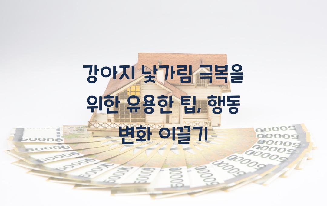 강아지 낯가림 극복을 위한 유용한 팁