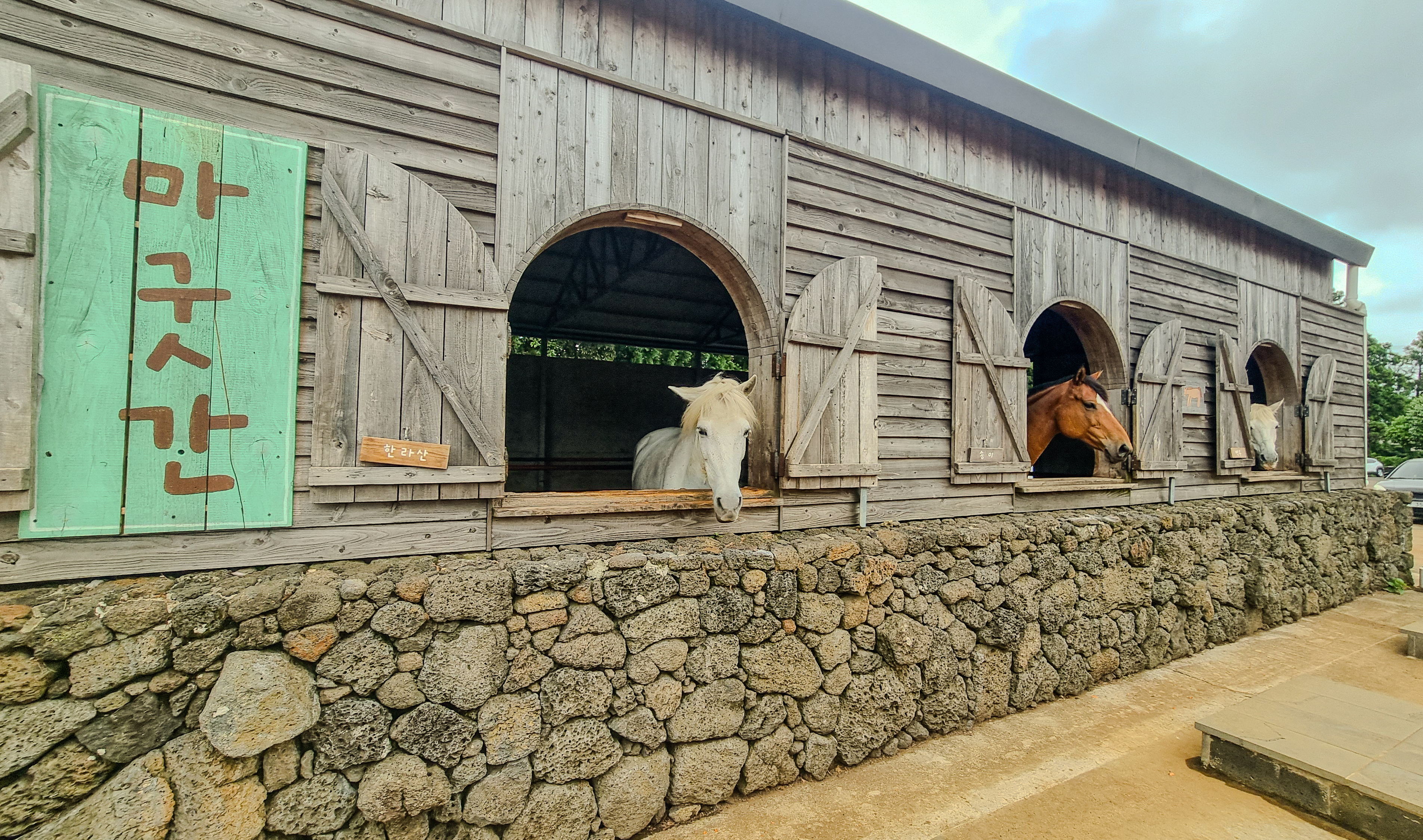 제주 목장카페 밭디