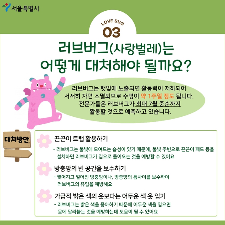 러브버그(붉은등우단털파리): 대량출몰 원인과 대처방법