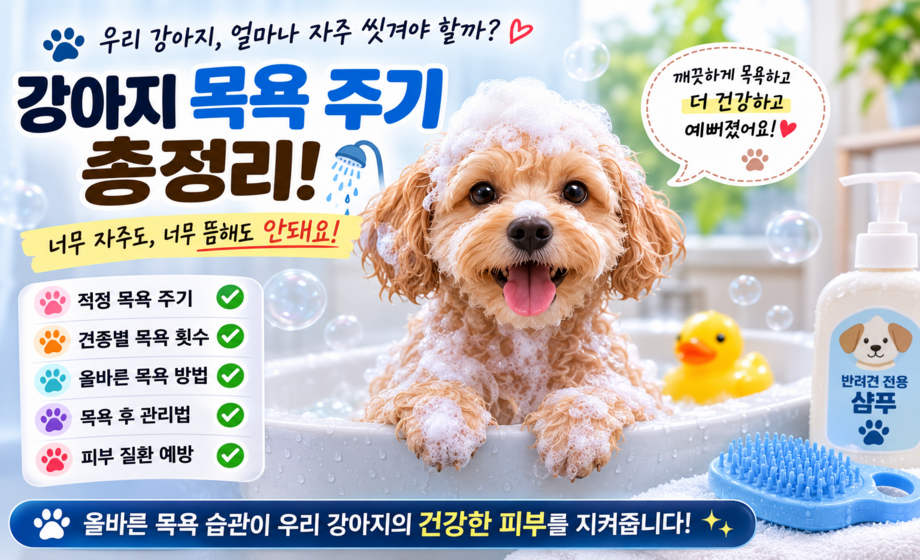 강아지 목욕 주기 총정리 대표 이미지