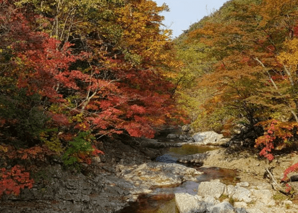 국립유명산