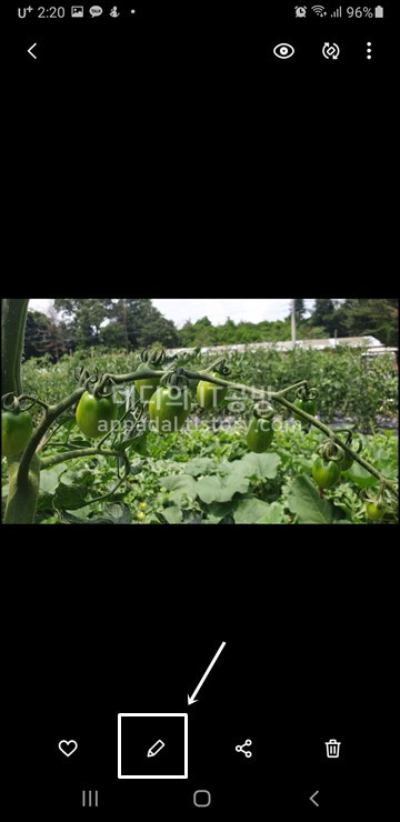 수정-버튼-클릭