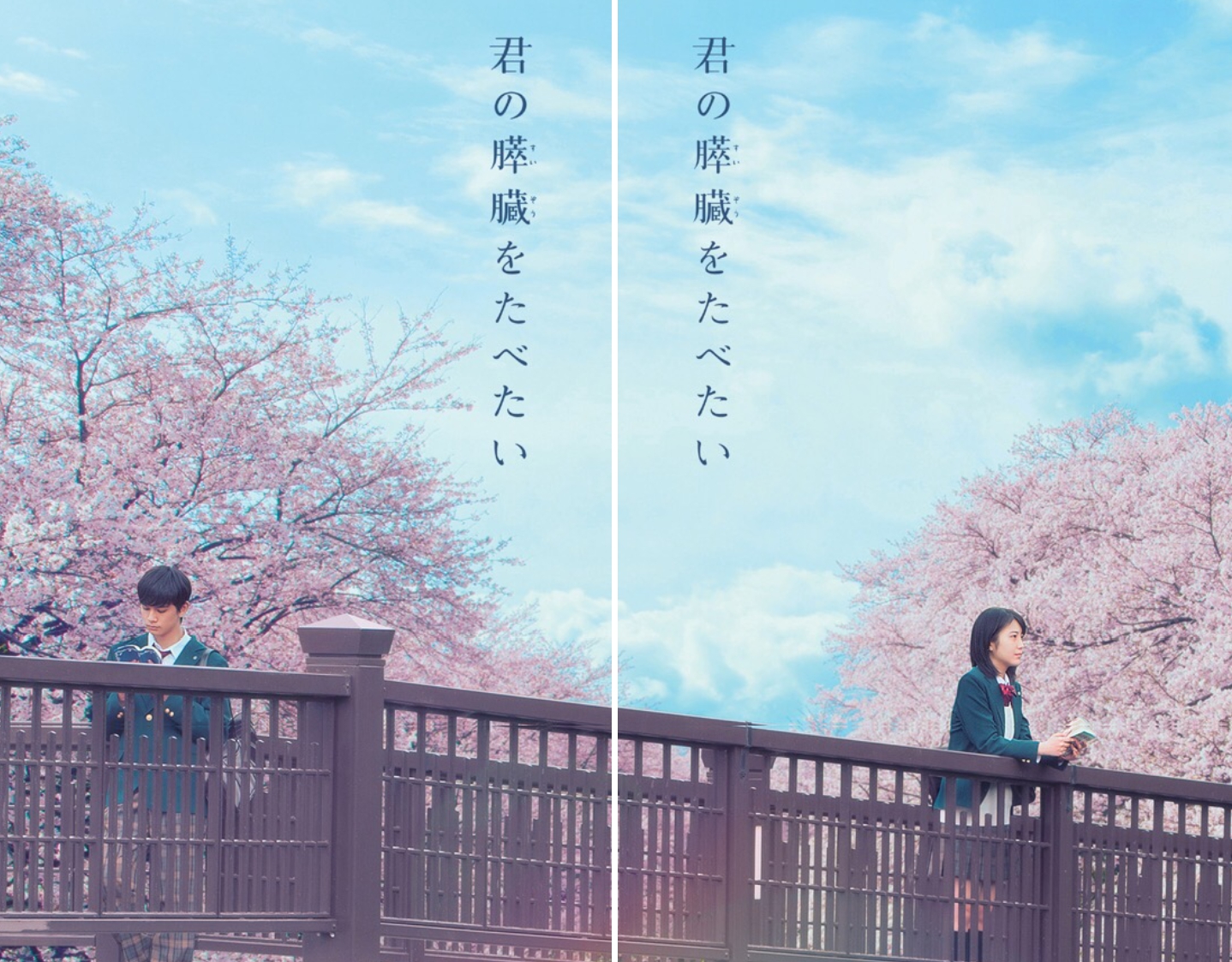 영화 너의 췌장을 먹고싶어 영화 포스터