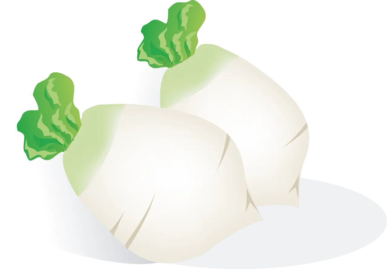 강원 고랭지에서 겨울마다 빚어 먹던 무말랭이 찹쌀떡