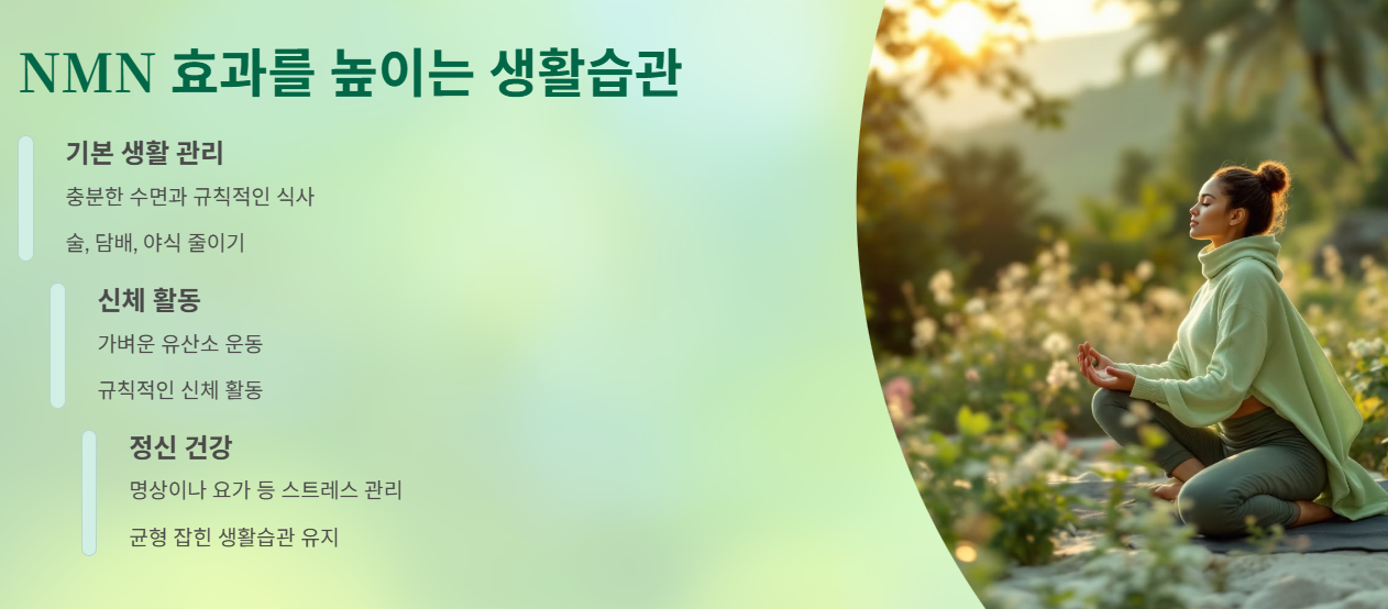 NMN의 효과를 높이려면?