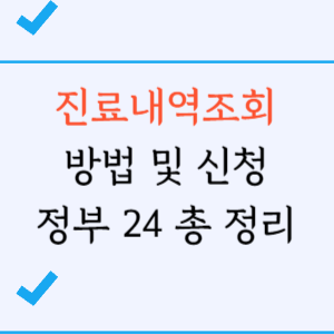 진료내역조회