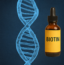 비오틴 효능