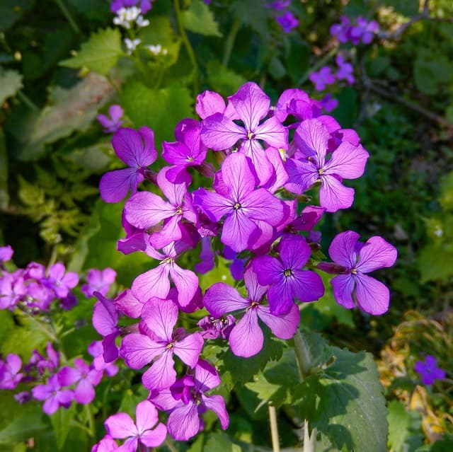 2025년 60대 재테크 핵심 전략