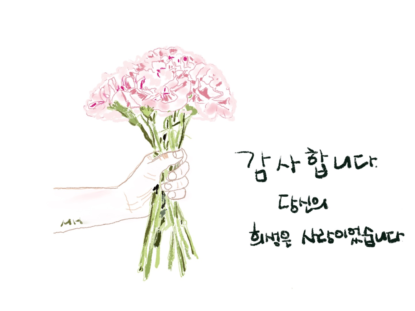 카네이션 꽃