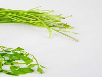 봄나물_미나리3