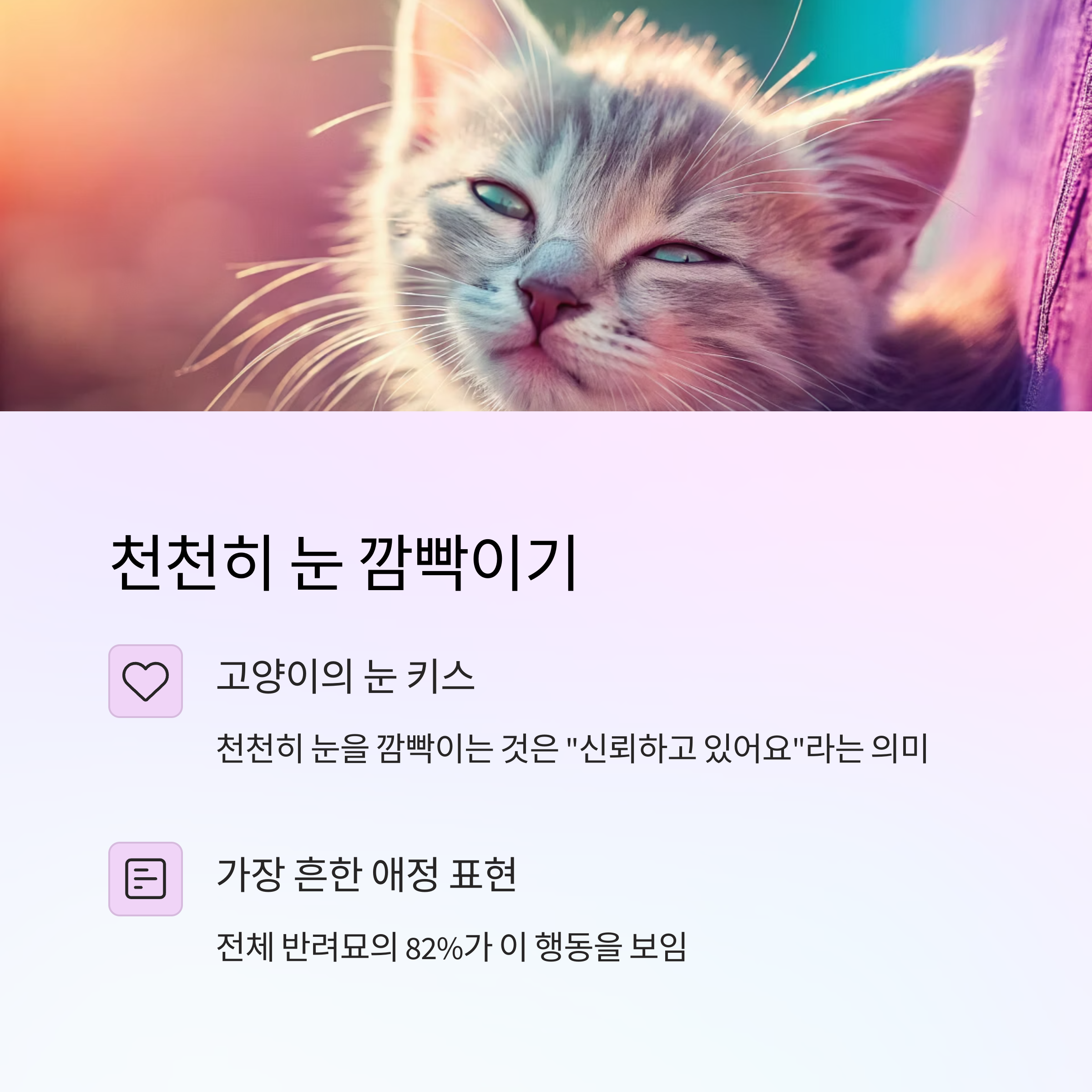 천천히 눈 깜빡이기