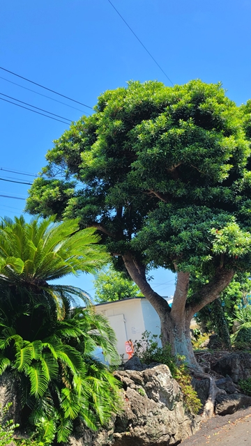 나만-알고-싶은-제주동쪽-감성여행-필수-코스-종달여행-만나빵집-책약방-잼있는집