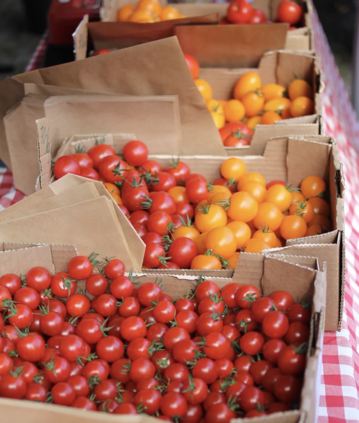 유방암에 좋은 과일 BEST5