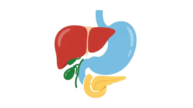 췌장암 초기증상 등통증 감별 그래픽