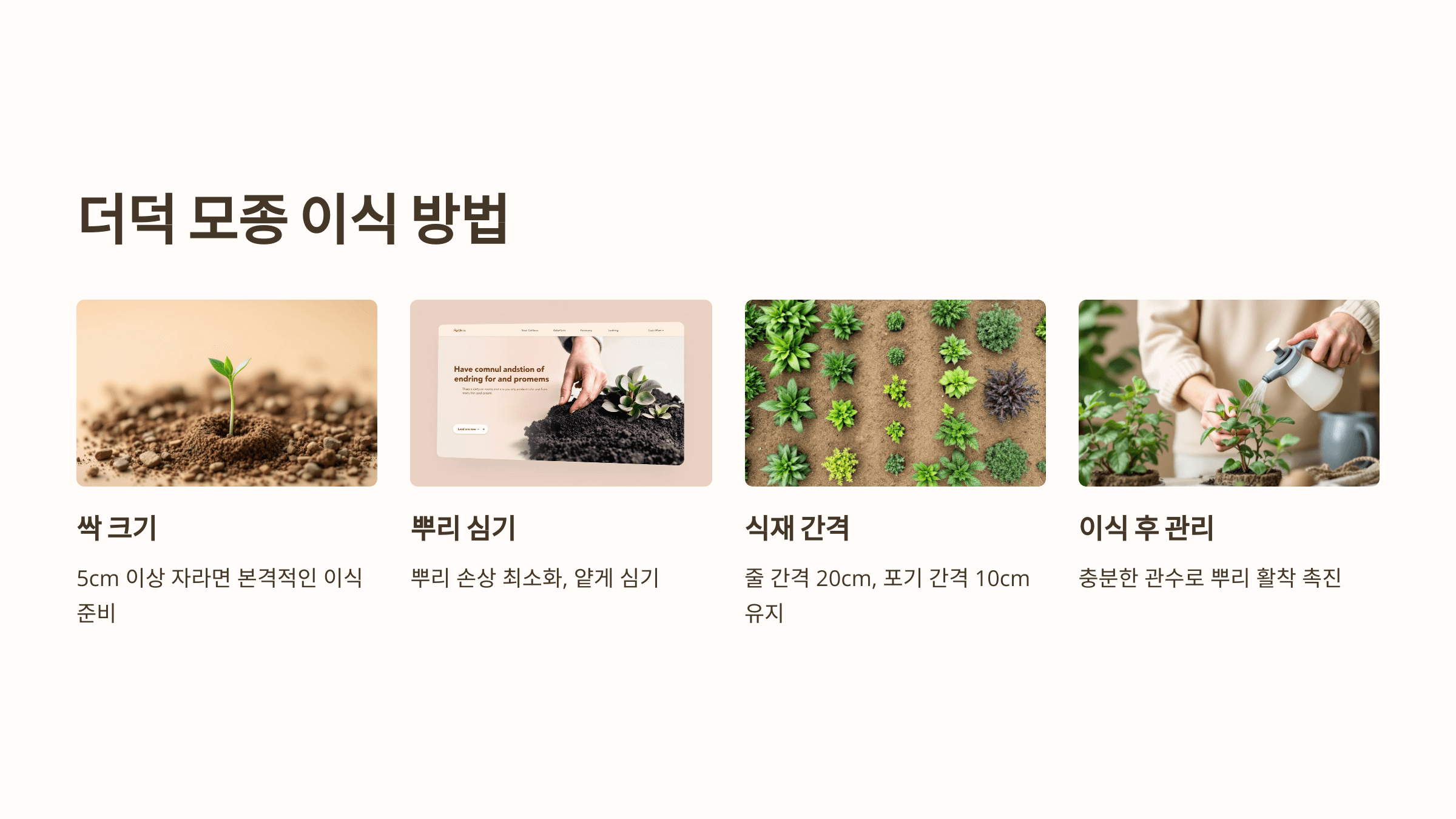 더덕 사진입니다.