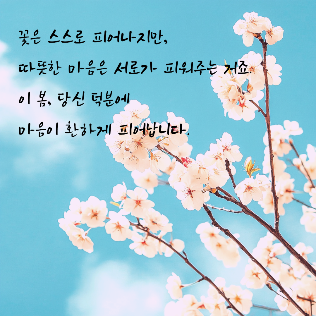 봄 인사 이미지