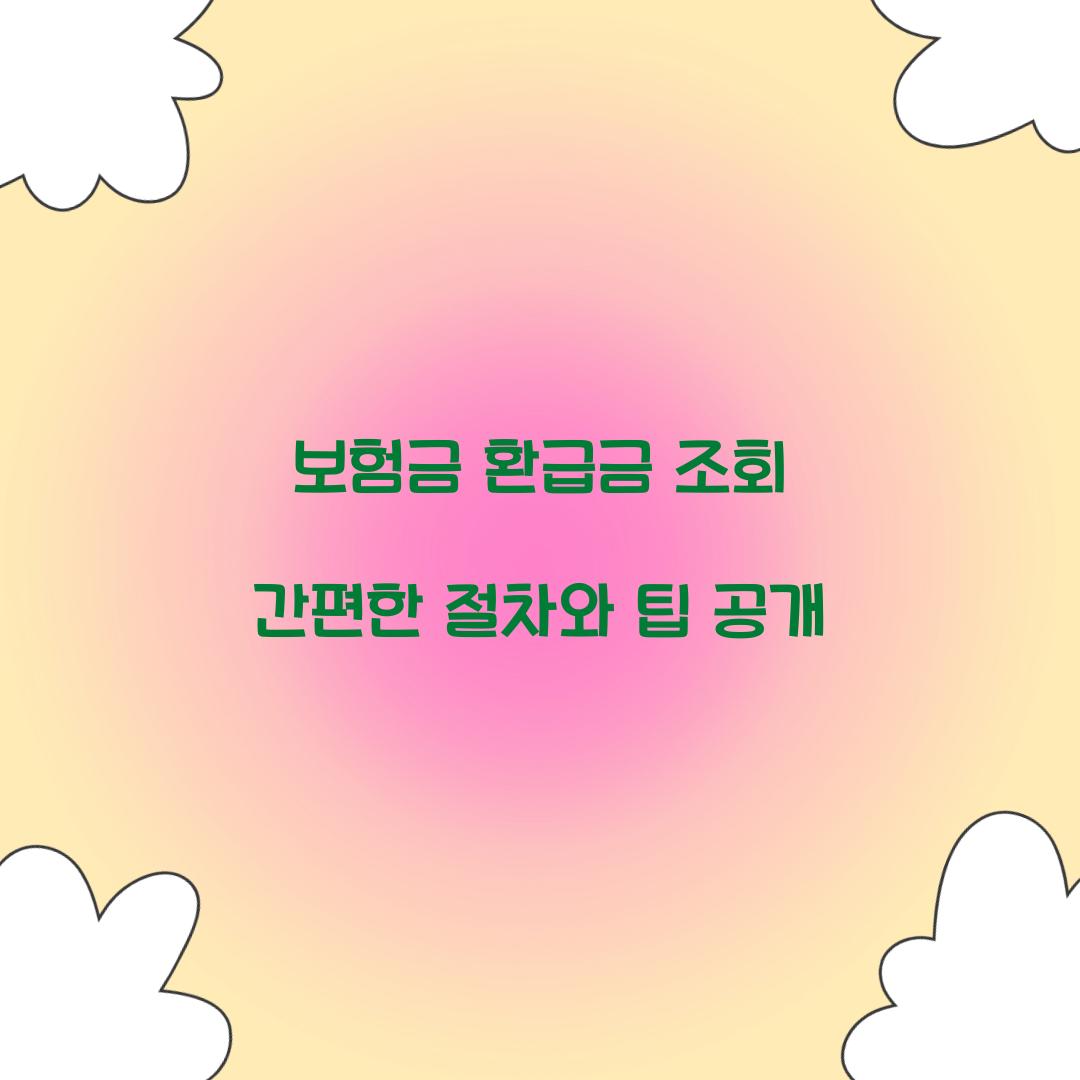 보험금 환급금 조회