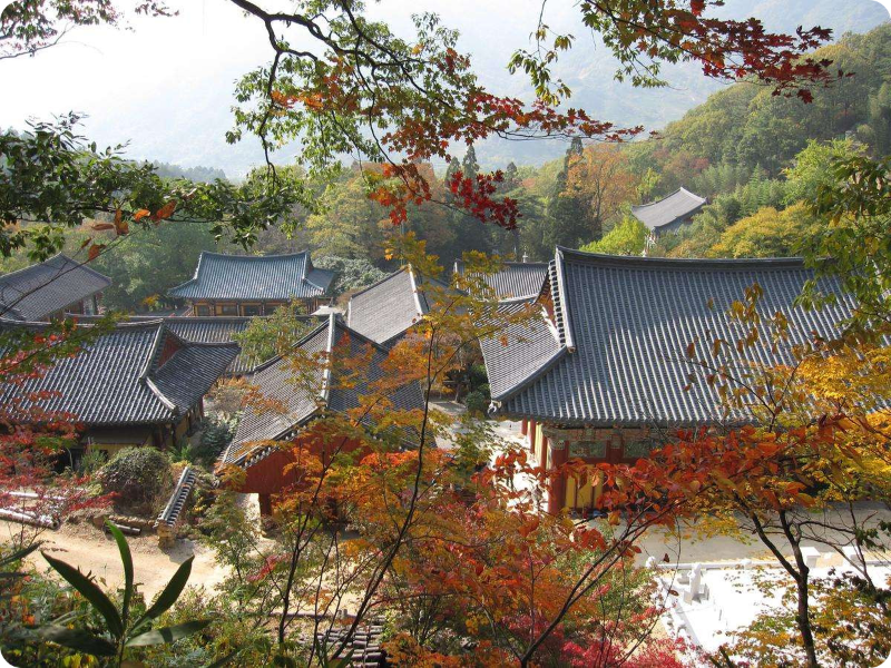 지리산 쌍계사 이미지/출처: 하동군 홈페이지