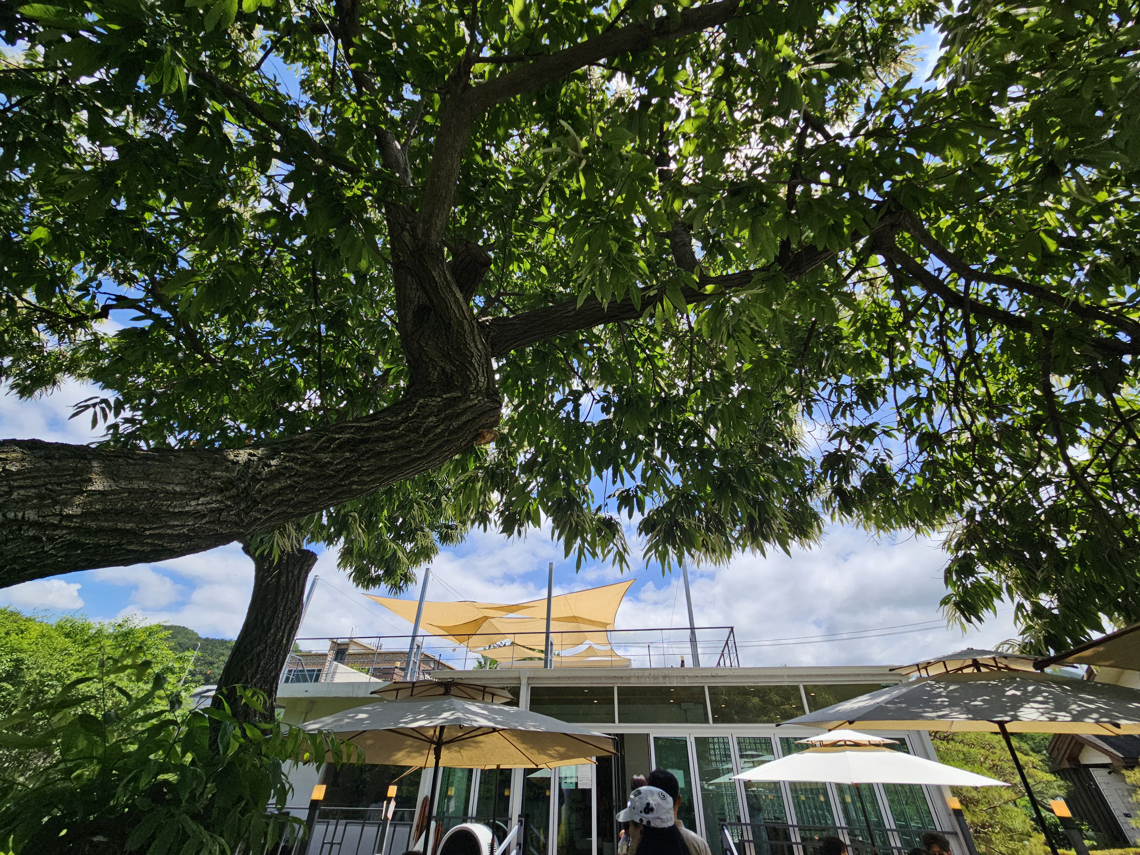 라온드뷰 야외정원