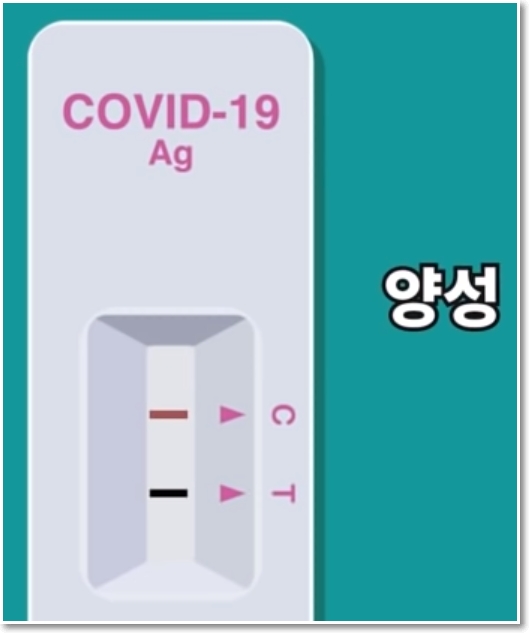 자가검사키트 검사 결과 양성인 경우