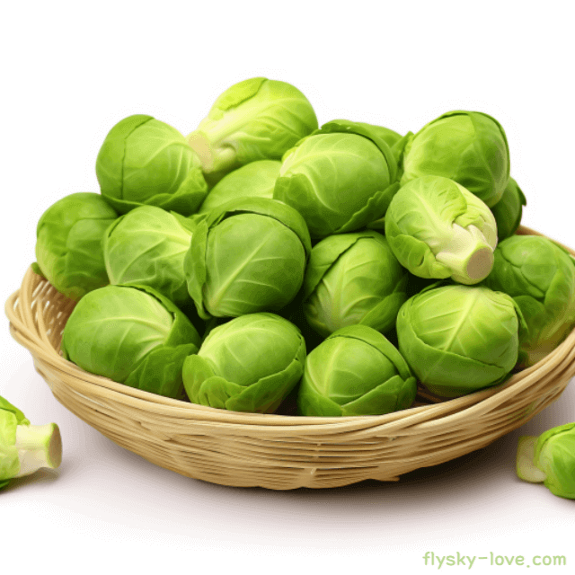 방울 양배추 고르는 법