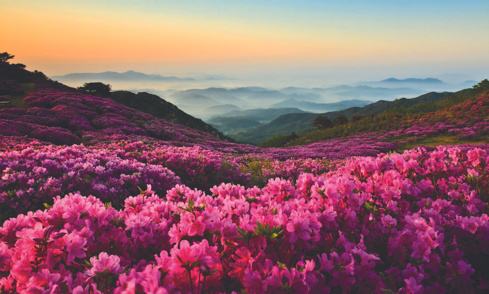 황매산 등산코스 추천