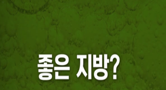 고지혈증증상완화식단개선