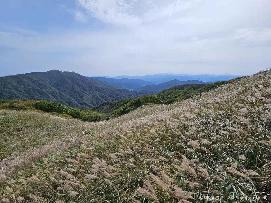 장수 가볼만한곳 베스트10