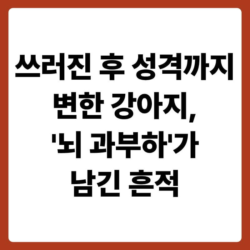 방 한가운데 멍한 눈빛으로 허공을 응시하며 서 있는 강아지의 모습. 강아지의 머리 주변으로 뇌 속의 복잡한 신경망이 반투명하게 시각화되어 있고, 일부 신경 회로에서 불꽃 같은 전기 스파크가 튀는 듯한 연출이 들어가 발작 후의 뇌과학적 상태를 묘사한 이미지