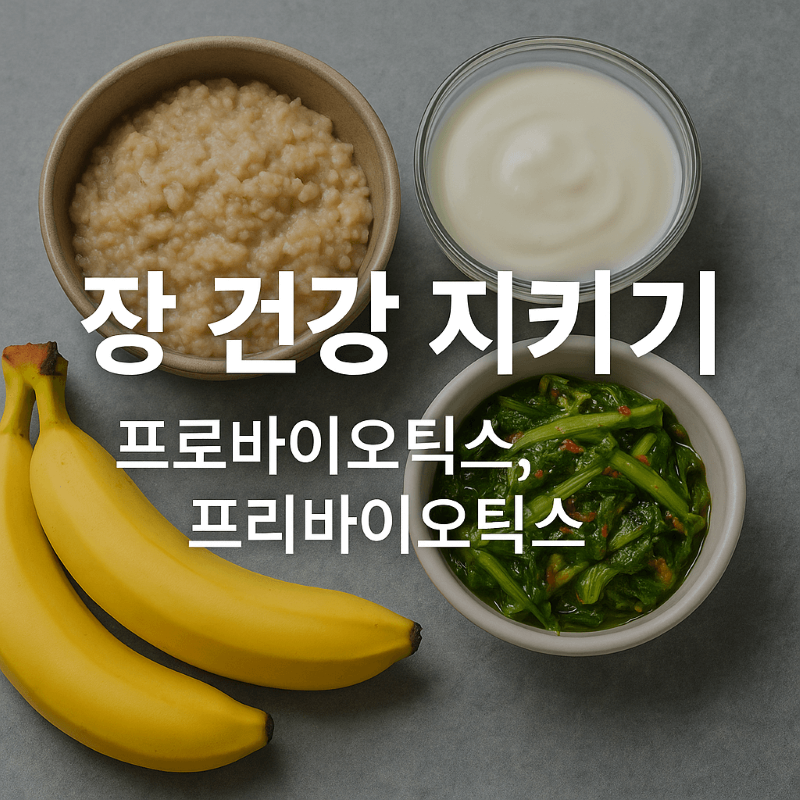 장 건강을 지키는 방법: 프리바이오틱스, 프로바이오틱스 올바른 섭취법