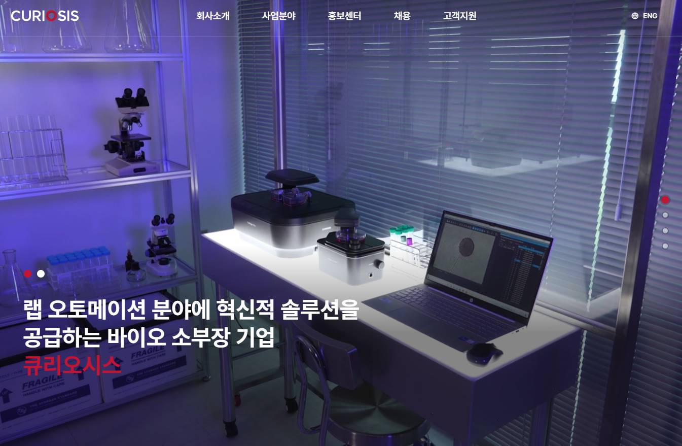 큐리오시스