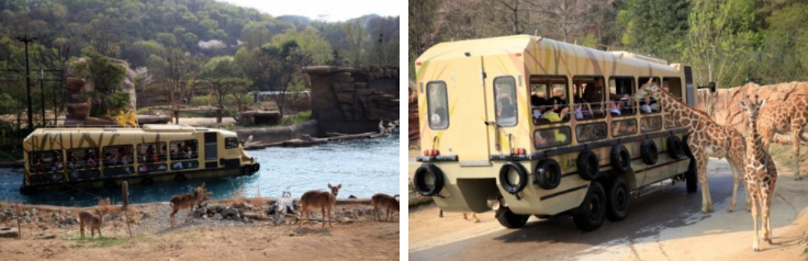 로스트밸리버스-수로-기린-먹이주기-사슴