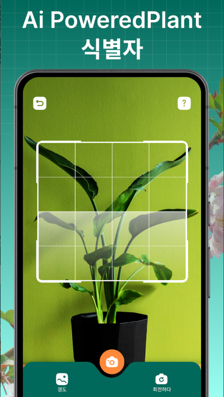 식물 이름 찾기 어플 설치, 식물 찾기