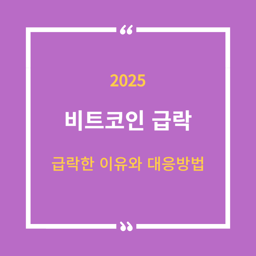 2025년 비트코인 급락 썸네일