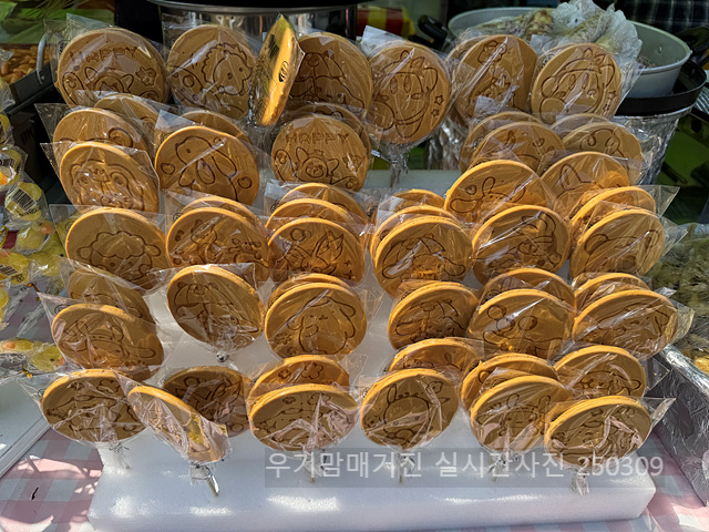 광양매화축제 실시간