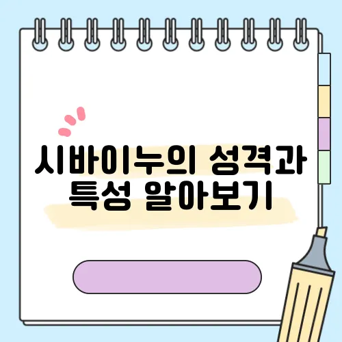 시바이누의 성격과 특성 알아보기, 분양가는 필수입니다!