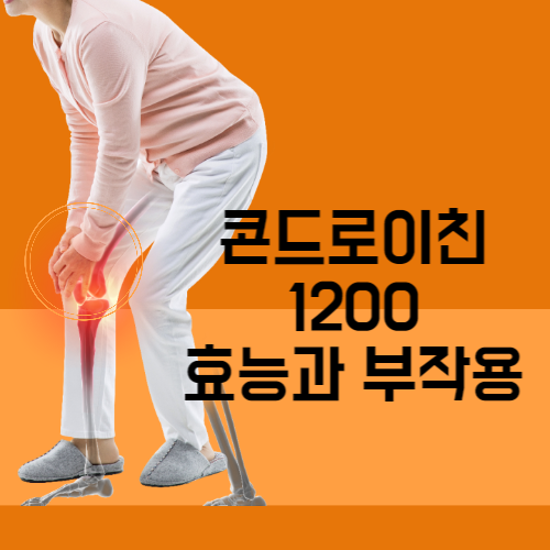 콘드로이친-1200-효능과-부작용-썸네일