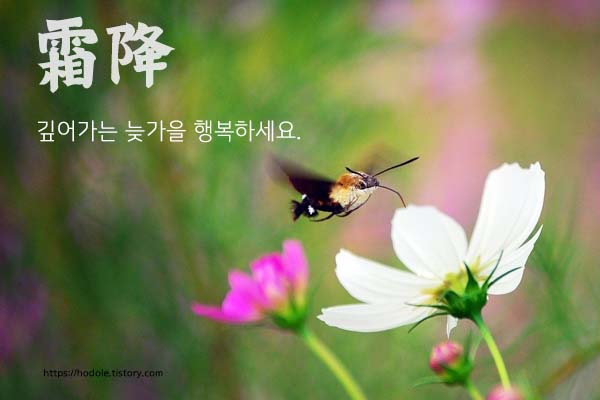 상강-절기-이미지