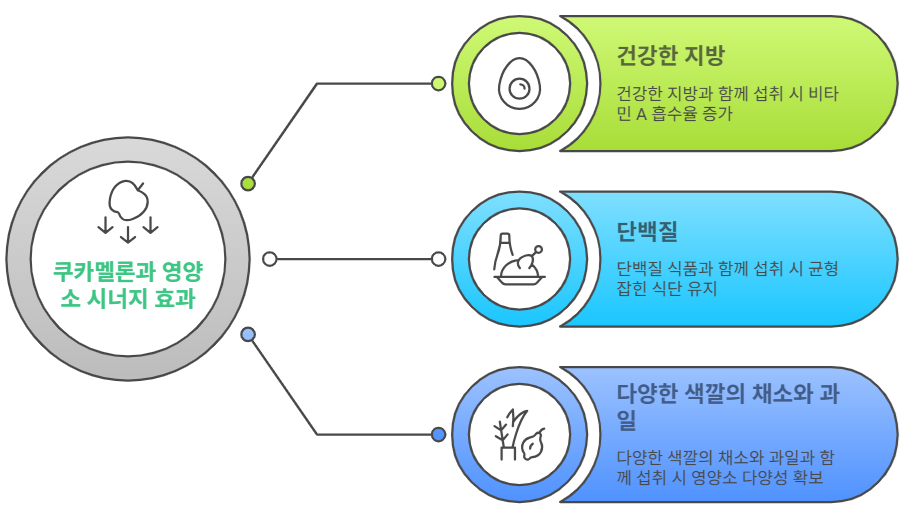 쿠카멜론과 어울리는 영양소