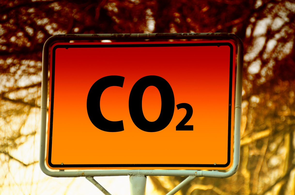 탄소중립실천포인트