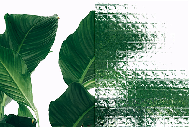 글래스모피즘 효과