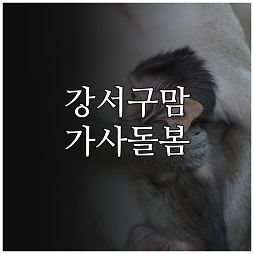 2025 강서구 임신부 가사돌봄 서비..