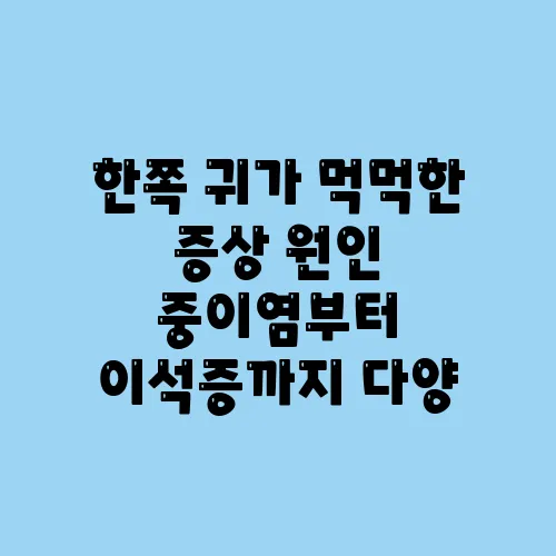 한쪽 귀가 먹먹한 증상 원인 중이염부터 이석증까지 다양