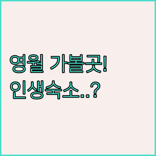 영월 가볼만한곳 문화예술회관 시기별 ..