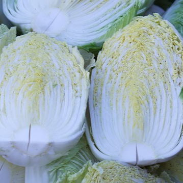 절임배추 20kg 배추 몇포기 가격